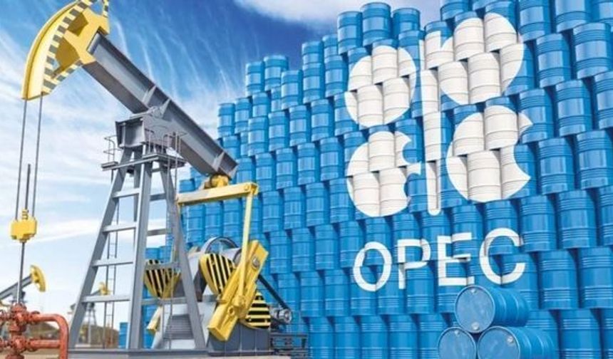 OPEC+ üyesi 7 ülke, petrol üretimini artıracak
