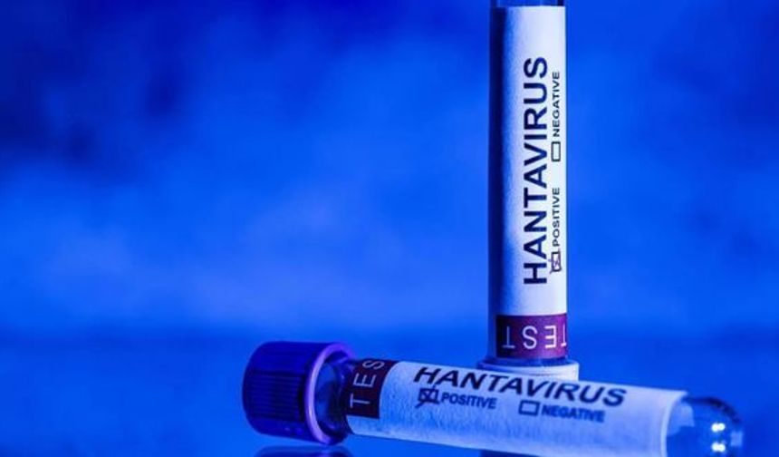 EMA duyurdu: Hantavirüs için onaylı tedavi ve aşı yok